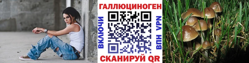Псилоцибиновые грибы Cubensis Аксай